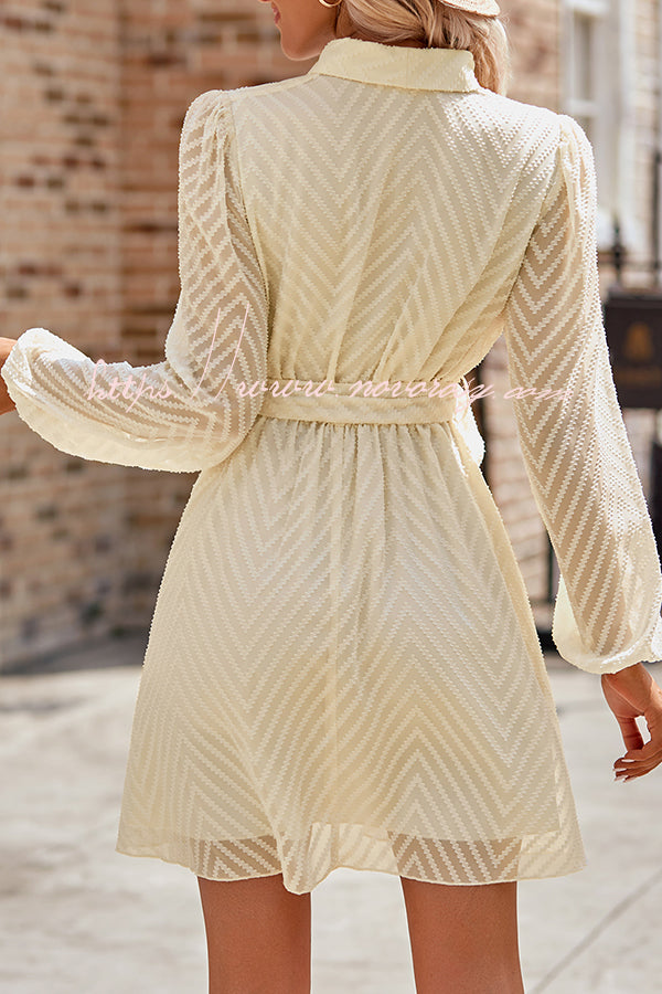 Striped Lace Cutout Belted Long Sleeve Mini Dress