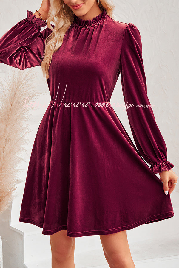 Turtleneck Long Sleeve Velvet Mini Dress